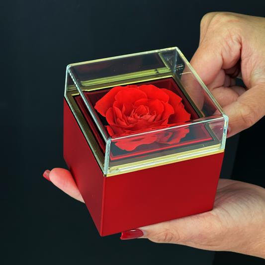 Caja con rosa preservada para 5 años, caja con rosa Rosa giratoria, sin collar
