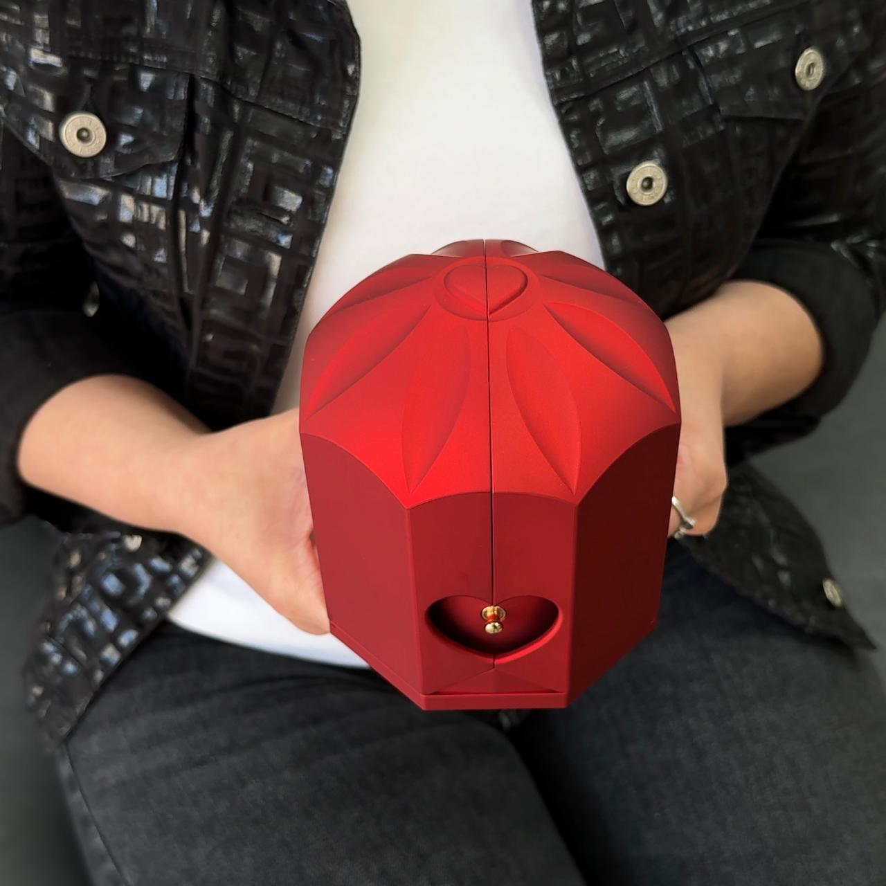 Caja de regalo con Rosa preservada para durar 5 años, con collar estilo carta de acero inoxidable. El mejor regalo de San Valentín 2026